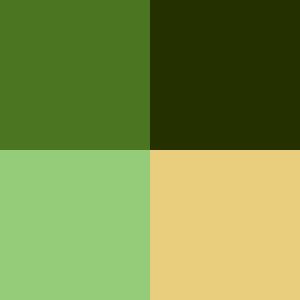 Opinion Giver Image